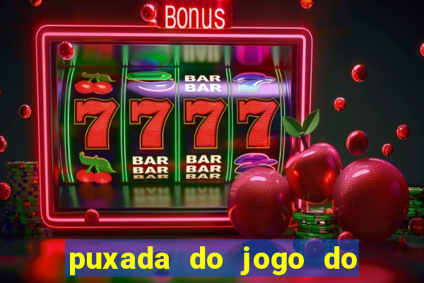 puxada do jogo do bicho da sueli